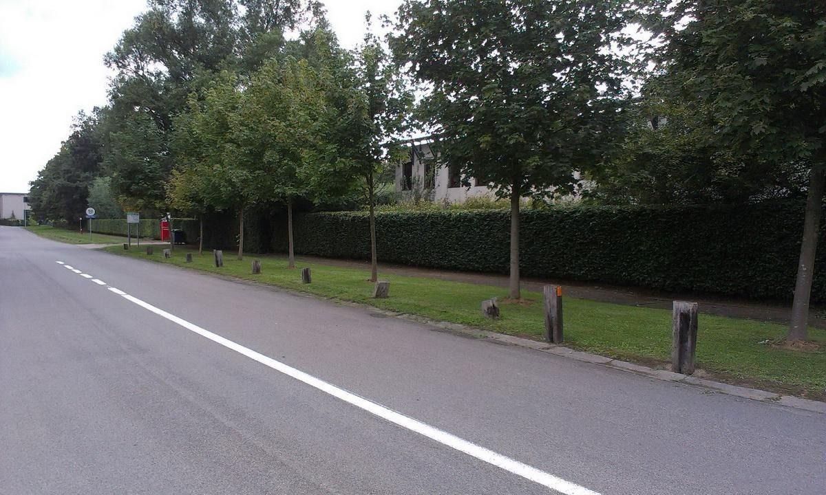 capvertsjardins